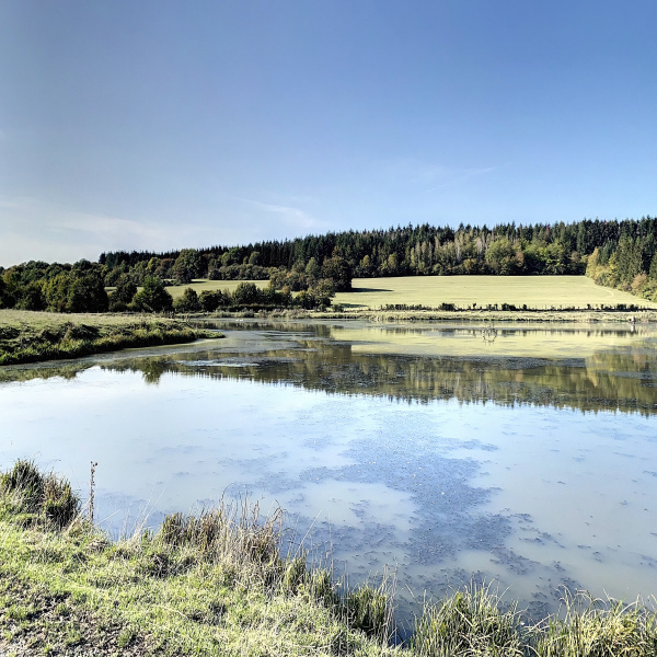 Offres de vente Terrain Héricourt 70400