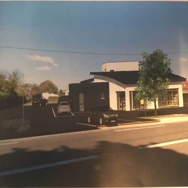 Vente Immobilier Professionnel Local professionnel Roye 70200