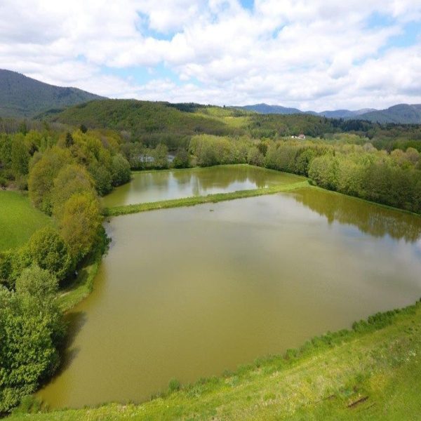 Offres de vente Terrain Lachapelle-sous-Chaux 90300