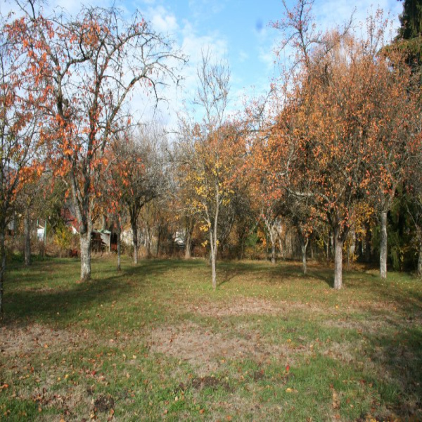 Offres de vente Terrain Giromagny 90200