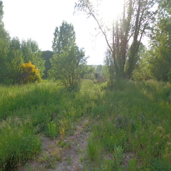 Offres de vente Terrain Bouligney 70800