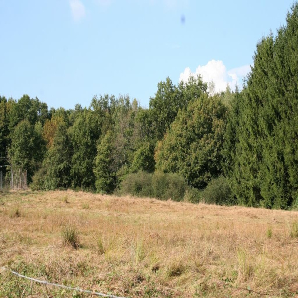 Offres de vente Terrain Plancher-Bas 70290