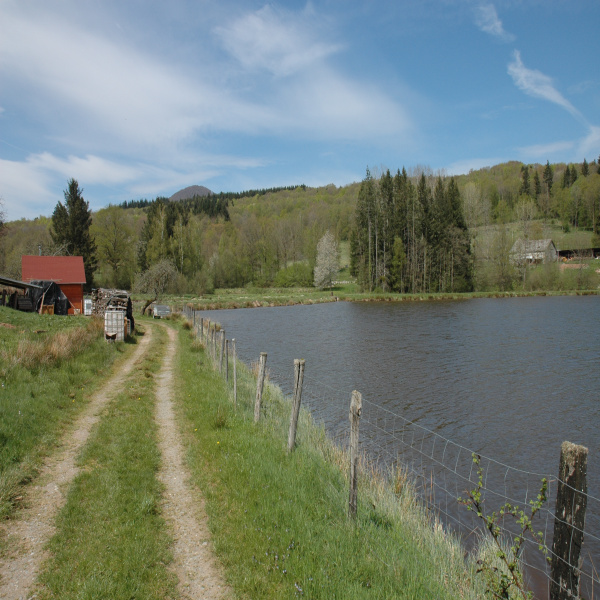 Offres de vente Terrain Belfort 90000