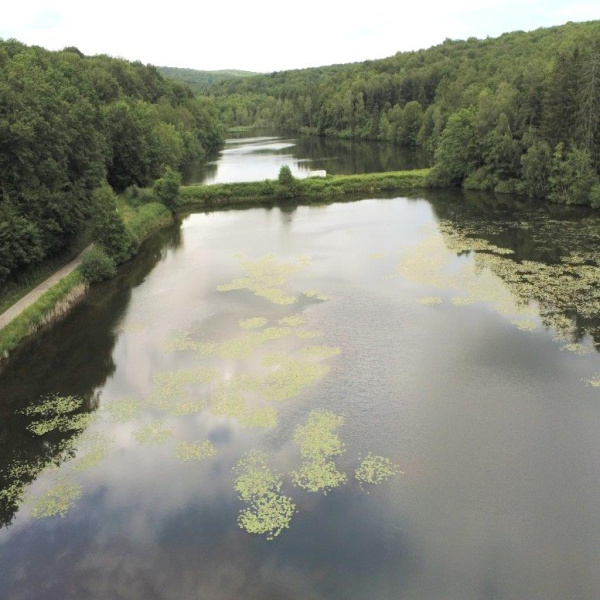 Offres de vente Terrain Luxeuil-les-Bains 70300