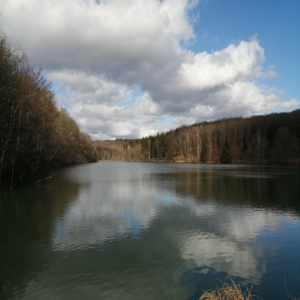 Offres de vente Terrain Luxeuil-les-Bains 70300