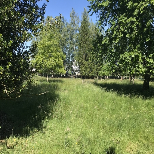 Offres de vente Terrain Montreux-Vieux 68210