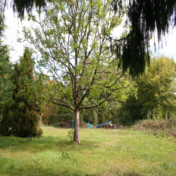 Offres de vente Terrain Lachapelle-sous-Chaux 90300