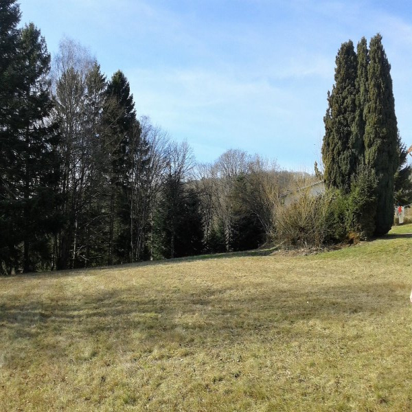 Offres de vente Terrain Grosmagny 90200