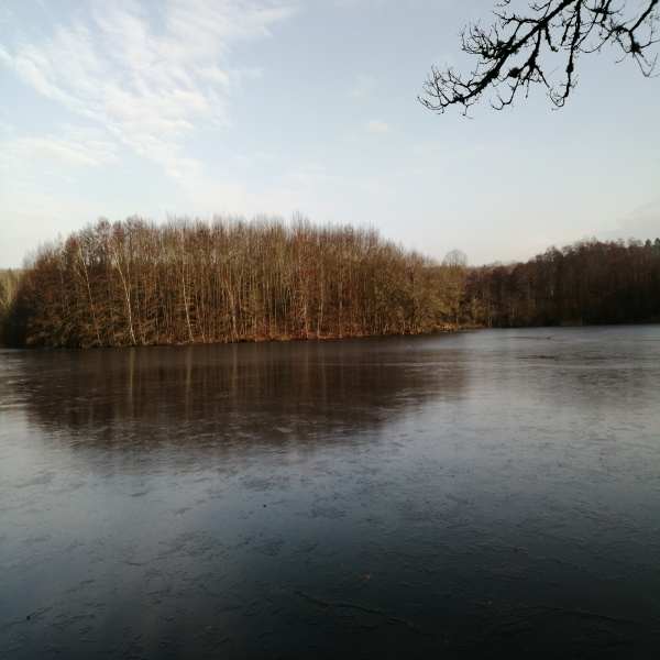 Offres de vente Terrain Belfort 90000