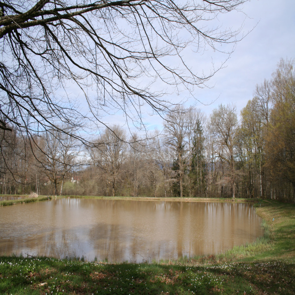 Offres de vente Terrain Valdoie 90300