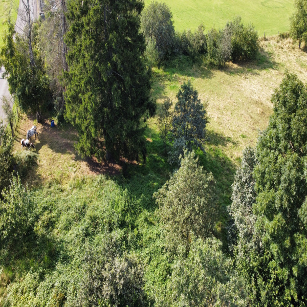 Offres de vente Terrain Malbouhans 70200
