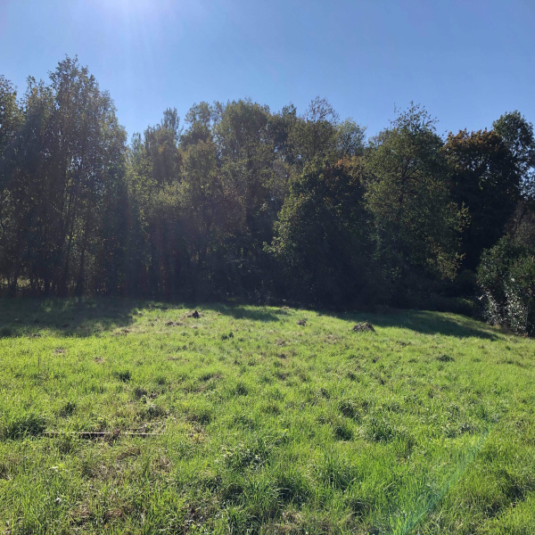 Offres de vente Terrain Ronchamp 70250