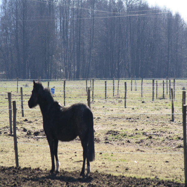 Offres de vente Terrain Vescemont 90200