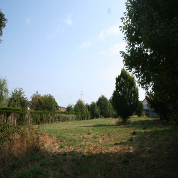 Offres de vente Terrain Offemont 90300